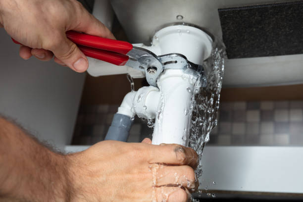 Best Flood restoration services  in Holmen, WI