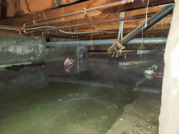 Water damage restoration mold remediation in WI