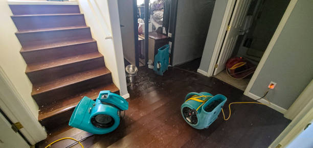 Best Fire Damage Restoration  in Holmen, WI