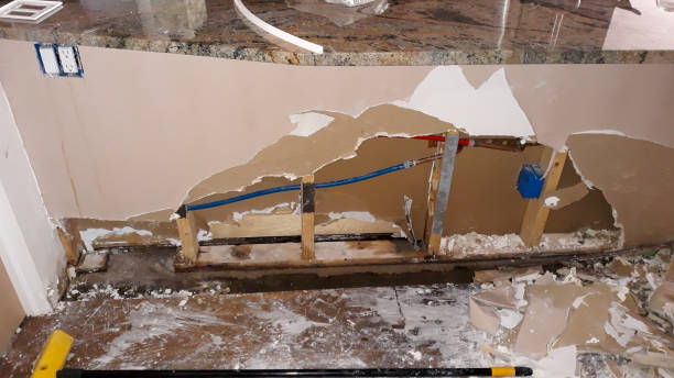 Best Carpet water damage restoration  in Holmen, WI