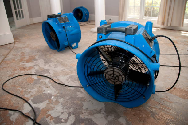  Holmen, WI Water damage restoration Pros