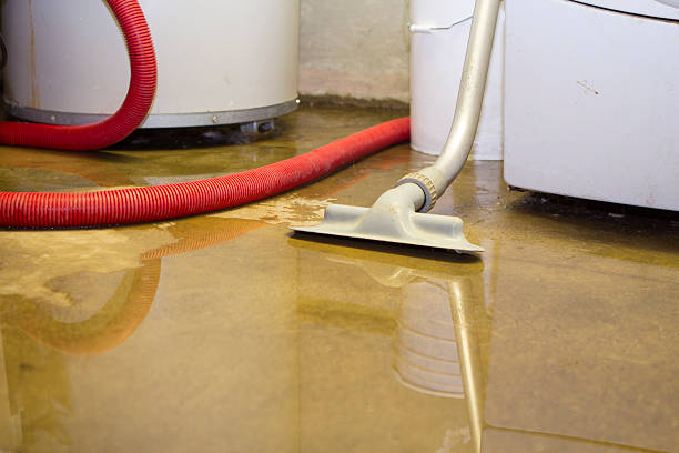 Best Water damage restoration mold remediation  in Holmen, WI