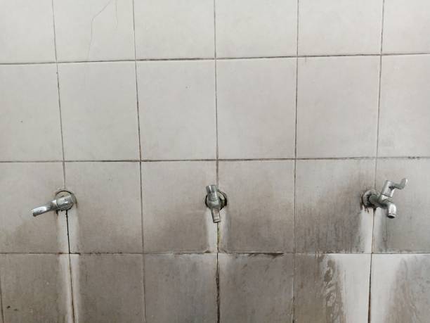 Best 24/7 water damage repair  in Holmen, WI