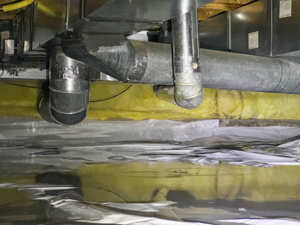 Best Flood damage cleanup  in Holmen, WI